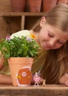 My Fairy Garden Peri Çiçek Saksısı