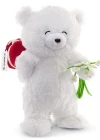 Neco Plush Fluffy Hediye Kutulu Ve Çiçekli Ayı 55 Cm