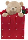 Neco Plush Fluffy Çantada Ayı 55 Cm