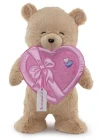 Neco Plush Fluffy Kalp Kutu Flamalı Ayı 55 Cm
