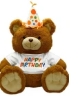Neco Plush Oturan Happy Birthday Peluş Ayı 60 cm