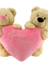 Neco Plush Forever Together Şirin Ayılar Peluş 40 cm