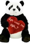 Panda Aşk Varmı Aşk Peluş 70 cm