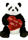 Panda Aşk Varmı Aşk Peluş 50 cm