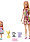 Barbie ve Chelsea Kayıp Doğum Günü Oyun Seti
