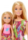 Barbie ve Chelsea Kayıp Doğum Günü Oyun Seti