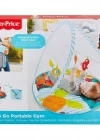 Fisher Price Renkli Dostlar Taşınabilir Jimnastik Merkezi