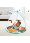 Fisher Price Renkli Dostlar Taşınabilir Jimnastik Merkezi
