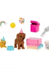 Barbie ve Köpek Partisi Oyun Seti