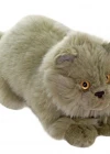 Animals Of The World Yatan Gri Kedi Peluş Oyuncak 26 cm