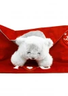 Neco Plush Fluffy Zarf İçi Sürpriz Ayı