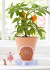 My Fairy Garden Peri Çiçek Saksısı ve Mini Peri Saksı Seti