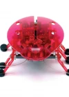 Hexbug Böcek Pembe