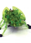 Hexbug Böcek Yeşil