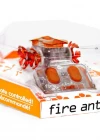 NECO TOYS Hexbug Uzaktan Kumandalı Ateş Karıncası Turuncu