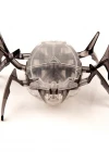 Hexbug B...k Böceği Siyah