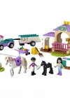 Lego Friends At Eğitmeni ve At Eğitimi