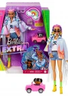 Barbie Extra Renkli Örgü Saçlı Bebek