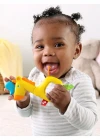 Fisher Price Sevimli Dostlar Dişlik ve Çıngıraklar GGF02-GGF05
