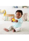 Fisher Price Sevimli Dostlar Dişlik ve Çıngıraklar - Aslan GGF02 - GGF04