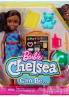 Barbie Chelsea Meslekleri Öğreniyor Bebek Serisi HCK69