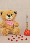 Halley 20 Cm Fularlı Atkılı Ayı