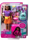Barbie Brooklyn Seyahatte Bebeği ve Aksesuarları
