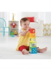 Fisher Price Eğlenceli Bloklar CDC52
