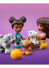 Lego Friends Evcil Hayvan Oyun Parkı 41698