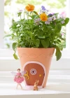 My Fairy Garden Peri Çiçek Saksısı