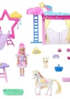 Barbie A Touch Of Magic Chelsea ve Pegasus Oyun Seti HNT67