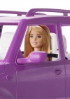 Barbie Sweet Orchard Farm Bebek ve Aracı