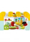 LEGO Duplo İlk Organik Bahçe 10984