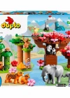 Lego Duplo Vahşi Asya Hayvanları 10974