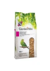 GardenMix Platin Muhabbet Yemi - 500g