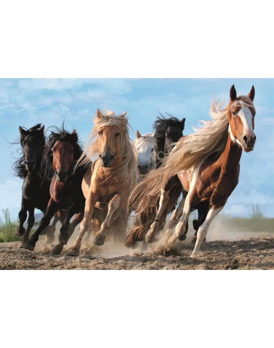 Trefl Puzzle Galloping Horses 1000 Parça