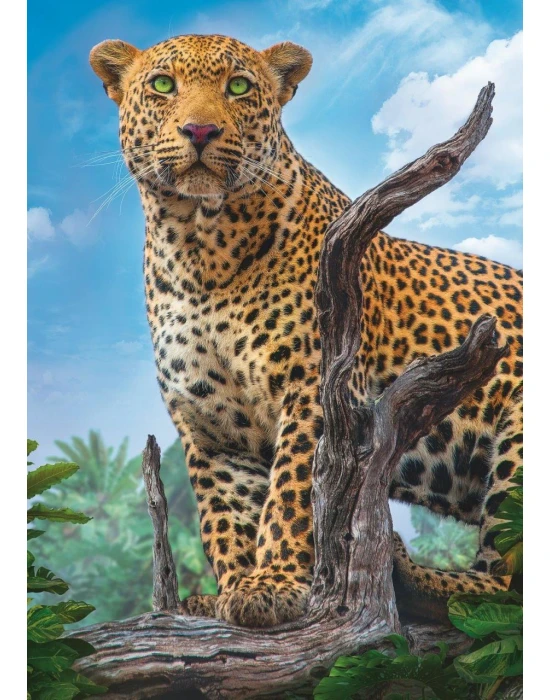 Trefl Puzzle Wild Leopard 500 Parça