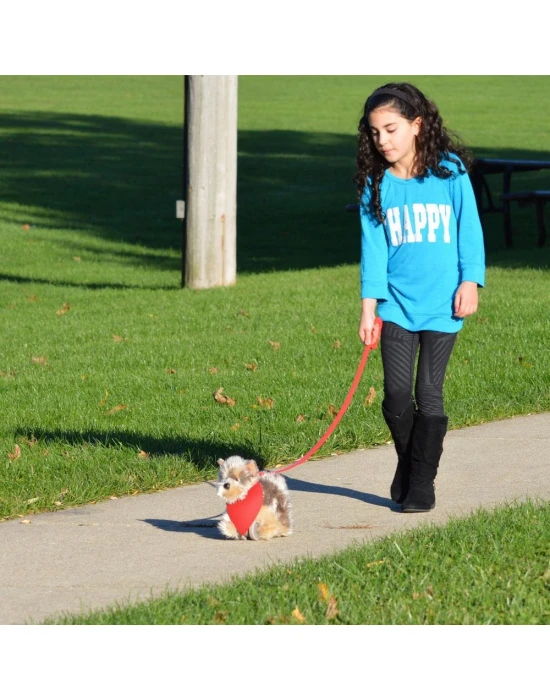 My Puppy Parade Yürüyen Köpeğim Charlie