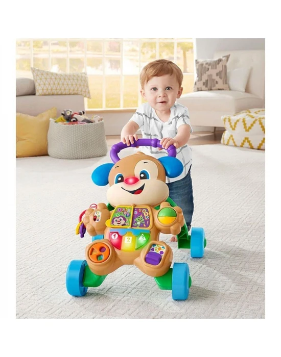 Fisher Price Eğitici Köpekçik Yürüteç FTG10