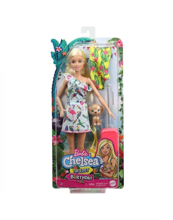 Barbie ve Chelsea  Kayıp Doğum Günü Bebek ve Aksesuarlar Serisi G