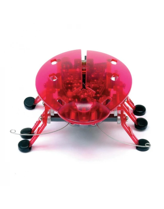 Hexbug Böcek Pembe