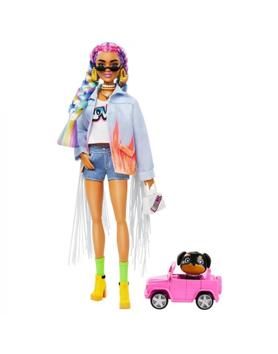 Barbie Extra Renkli Örgü Saçlı Bebek