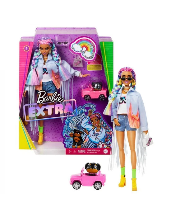 Barbie Extra Renkli Örgü Saçlı Bebek