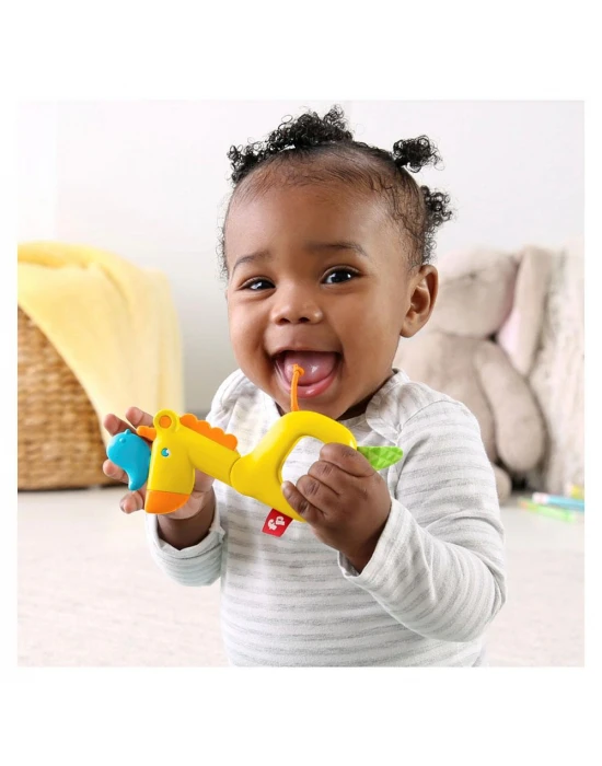 Fisher Price Sevimli Dostlar Dişlik ve Çıngıraklar GGF02-GGF05