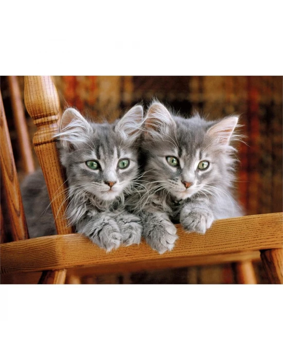Clementoni 500 Parça Yetişkin Puzzle Kittens