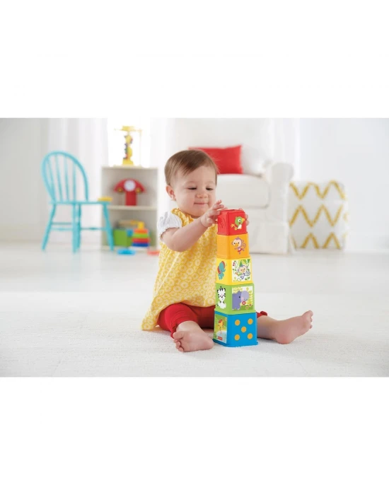 Fisher Price Eğlenceli Bloklar CDC52
