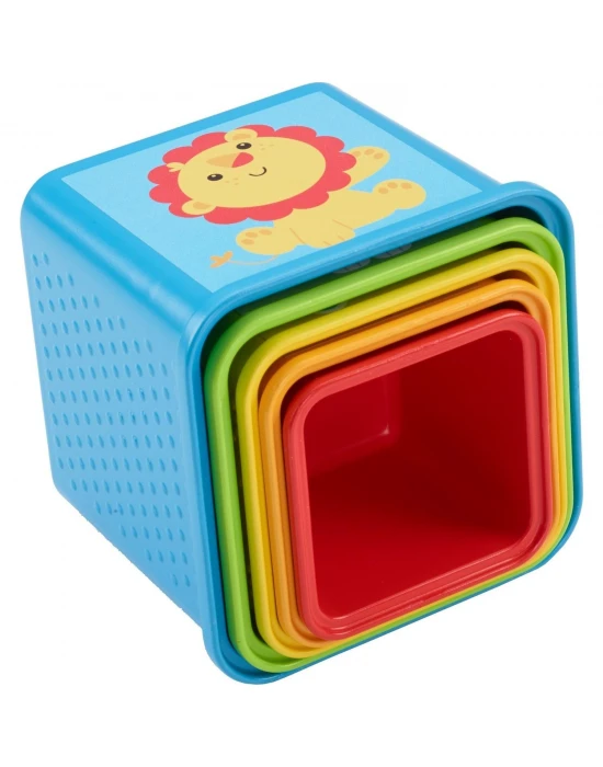 Fisher Price Eğlenceli Bloklar CDC52