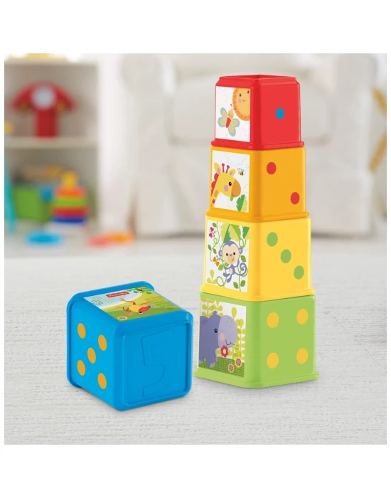 Fisher Price Eğlenceli Bloklar CDC52