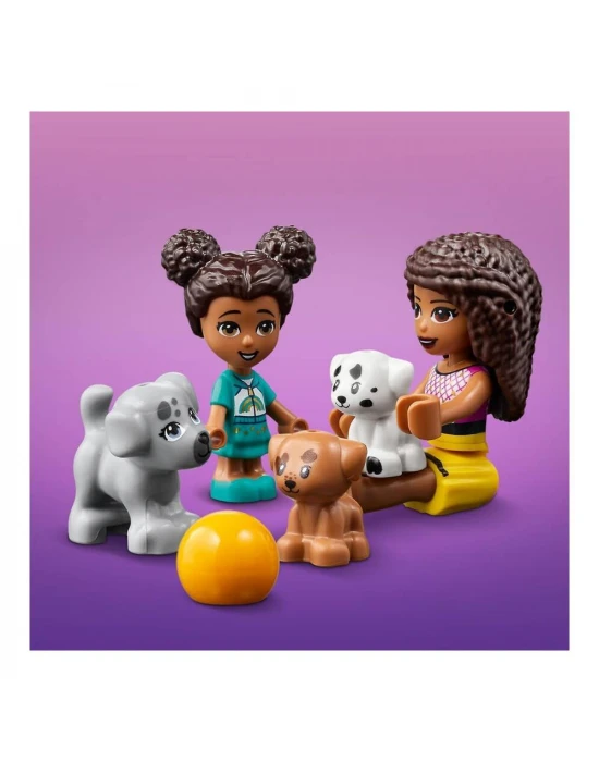 Lego Friends Evcil Hayvan Oyun Parkı 41698