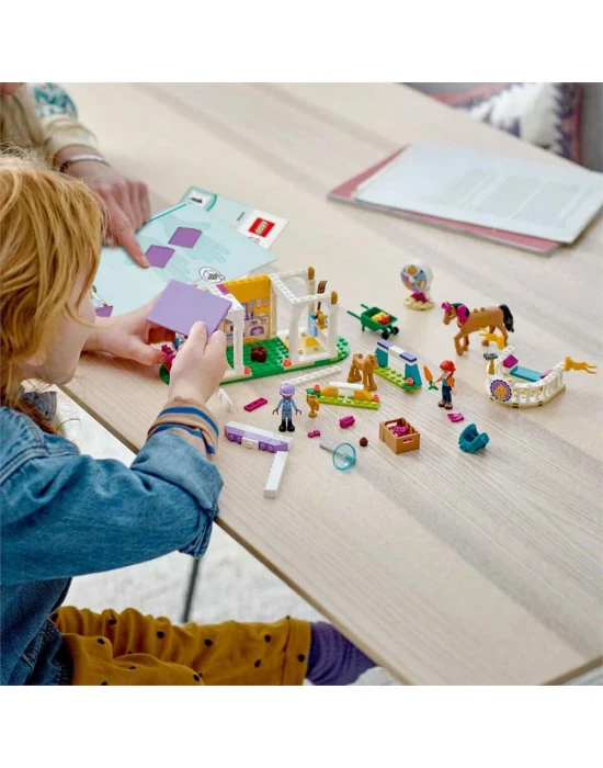 LEGO Friends At Eğitimi 41746